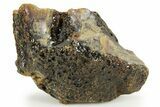 Rough Blue Indonesian Amber - Indonesia #359651-1
